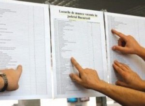 AJOFM: Locuri noi de muncă …