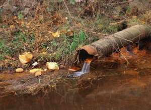 Campanie de sensibilizare şi conştientizare …