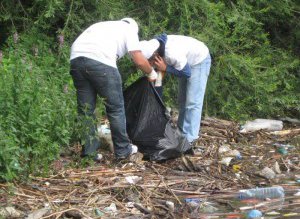 Curăţenie pe marginea drumurilor naţionale …