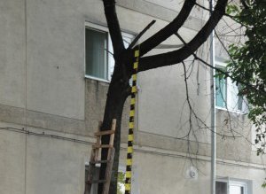 Un botoşănean a murit după …