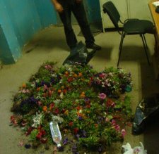 Sancţionat cu 400 de lei …