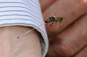 Pas cu pas ce trebuie …