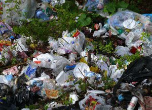 Primăria Săveni sancțiuni din pricina …