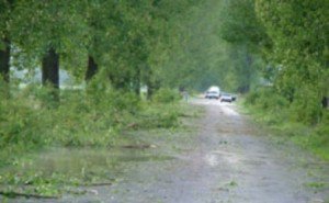 Vijelia de duminică seară a …