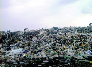 Conform directorului adjunct ANRSC, în …