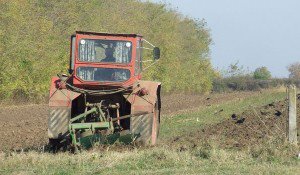 Carnetul de rentier se va elibera până la sfârşitul lunii august