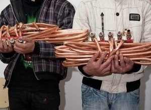 Botoșăneni, culegători de fructe de …