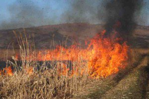 Zi de foc pentru pompieri: Cinci incendii în mai puţin de opt ore
