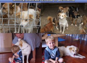 Neînceperea urmăririi penale pentru Ador