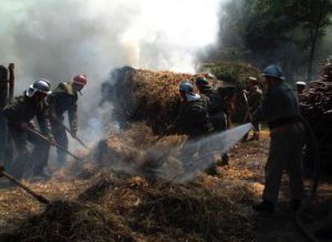 Avere distrusă de un fumător …