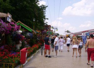 Florin Ţurcanu îngrozit de evaziunea …