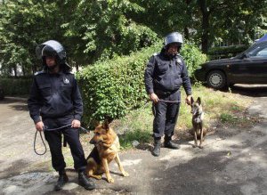 Jandarmii au efectuat activităţi de …