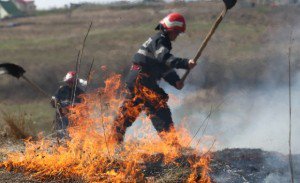 Incendiu de vegetaţie uscată stins cu peste 100 de pompieri, voluntari şi cetăţeni