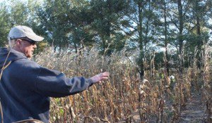 Fermierii afectați de secetă primesc …