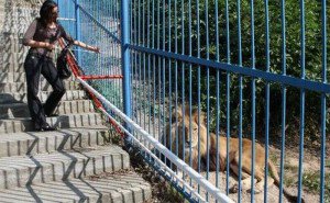 Ecologiştii vor să înfiinţeze o …