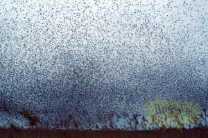 FENOMEN STRANIU în Rusia: Cerul …