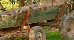 O femeie din Văculești a murit după ce hamurile de la căruța în care se afla s-au rupt
