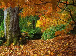 PROGNOZA METEO: Vreme caldă în …