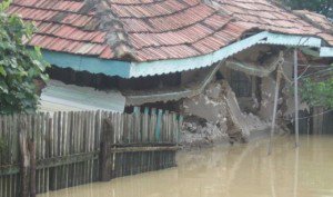 Cât de sigură este asigurarea …