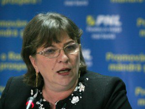 Norica Nicolai: Parlamentul European nu poate acuza bazându-se pe supoziții