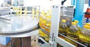 Italienii ar putea deschide fabrici …