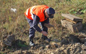 Elemente de muniţie descoperite  lângă un depozit de gunoi din comuna Călăraşi