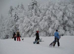 Vacanţe la preţuri între 130 …