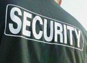 Firmele private ar putea fi …