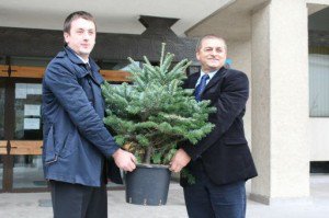 30.000 de brazi oferiţi de …