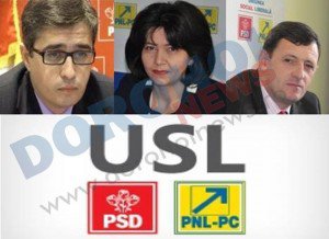 Andrei Dolineaschi, Doina Federovici și …