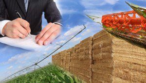Ministerul Agriculturii obligă producătorii să se înscrie în registrul alimentar