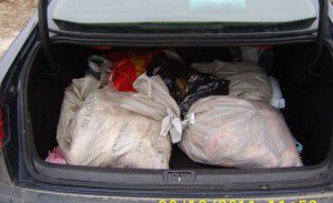 Dosar penal pentru peşte fără …