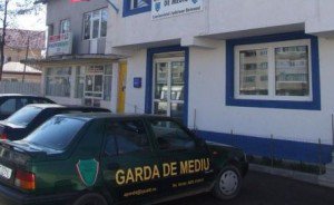 Vezi care este noul director …