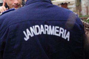 Jandarmii botoșăneni au venit în …