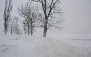 Toate drumurile naţionale ce tranzitează județul Botoșani, au fost deblocate! A reînceput viscolul!