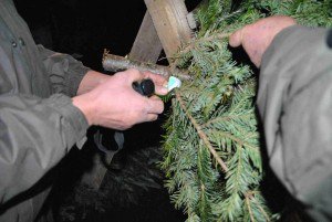 Controale efectuate de poliţiştii botoşăneni …