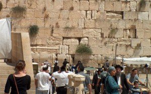 Peste 500 de milioane de …