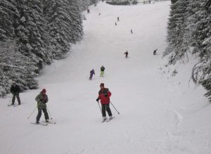 Consilierul judeţean de Cluj, Radu …