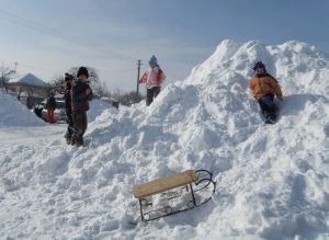 Șocant! Copil sfâşiat de cinci …