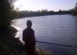 Vezi ce avize sunt necesare …