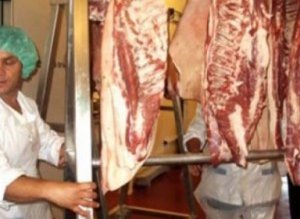 Importurile şi exporturile de carne …