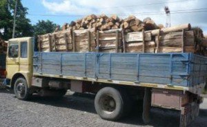 Dosar penal pentru transport marfă …