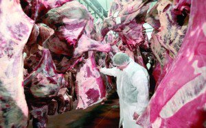 Abatoarele româneşti NU sunt responsabile …