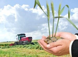 Ministerul Agriculturii începe plata subvențiilor …