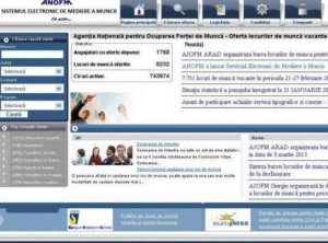 Un nou portal lansat de ANOFM îi ajută pe români să îşi găsească de lucru online