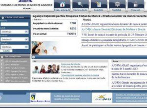 Un nou portal lansat de ANOFM îi ajută pe români să îşi găsească de lucru online