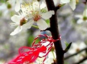 Legendele Mărţişorului, unul dintre cele …