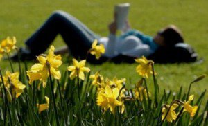 Prognoza meteo pentru începutul primăverii …