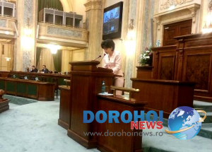 Senatorul PSD Doina Federovici sensibilizează Ministerul Muncii în privința ocupării posturilor vacante din sistemul de asistență socială