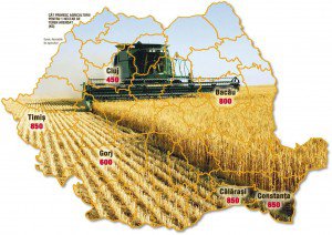 Cât câştigă fermierii care îşi …